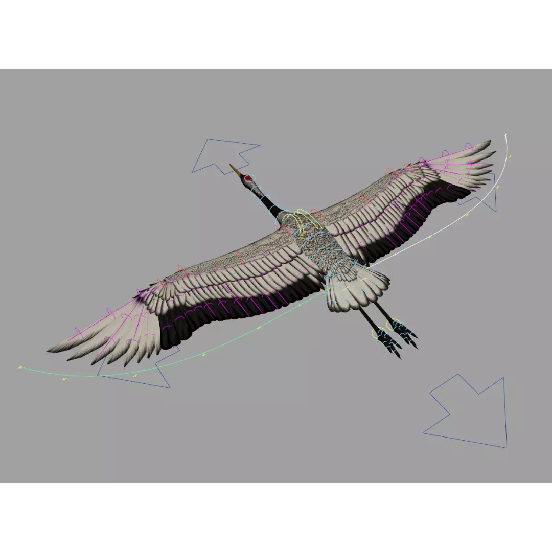 Crane 3D Model – Rigged High Poly Wildlife Asset, FBX/OBJ - View 8