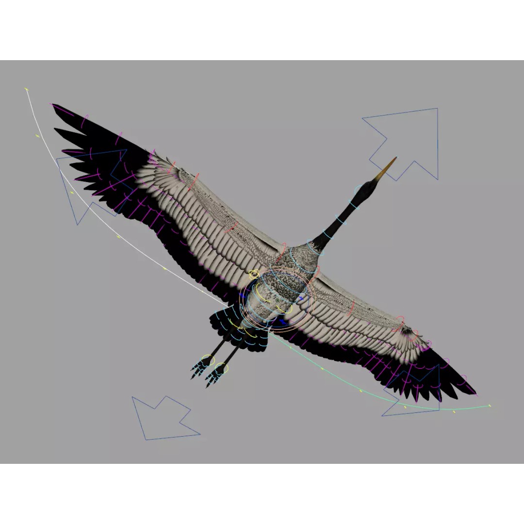 Crane 3D Model – Rigged High Poly Wildlife Asset, FBX/OBJ - View 9