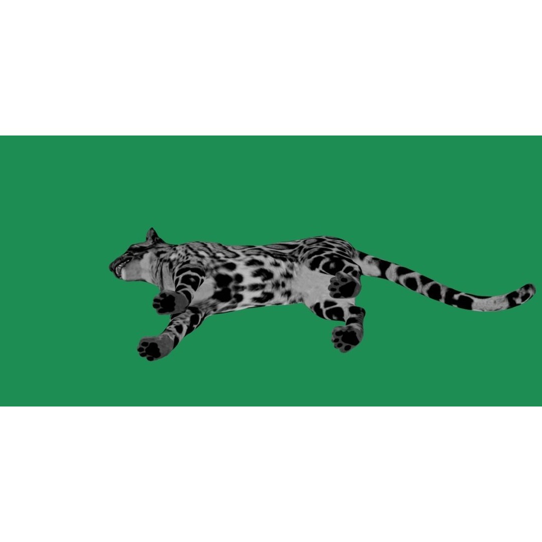 Clouded Leopard 3D Model – Mid Poly Game Ready Character, FBX - View 13