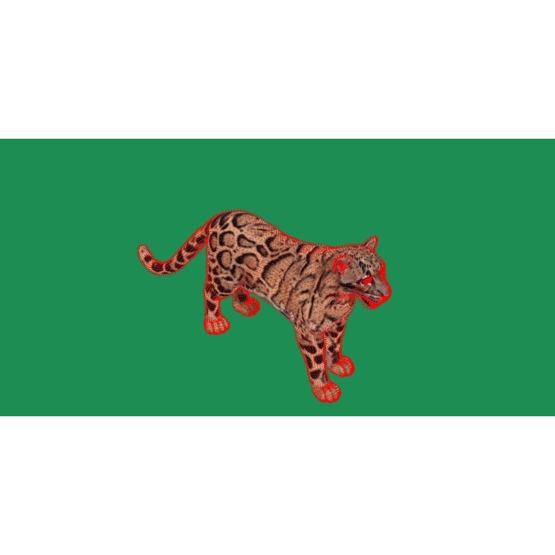 Clouded Leopard 3D Model – Mid Poly Game Ready Character, FBX - View 18