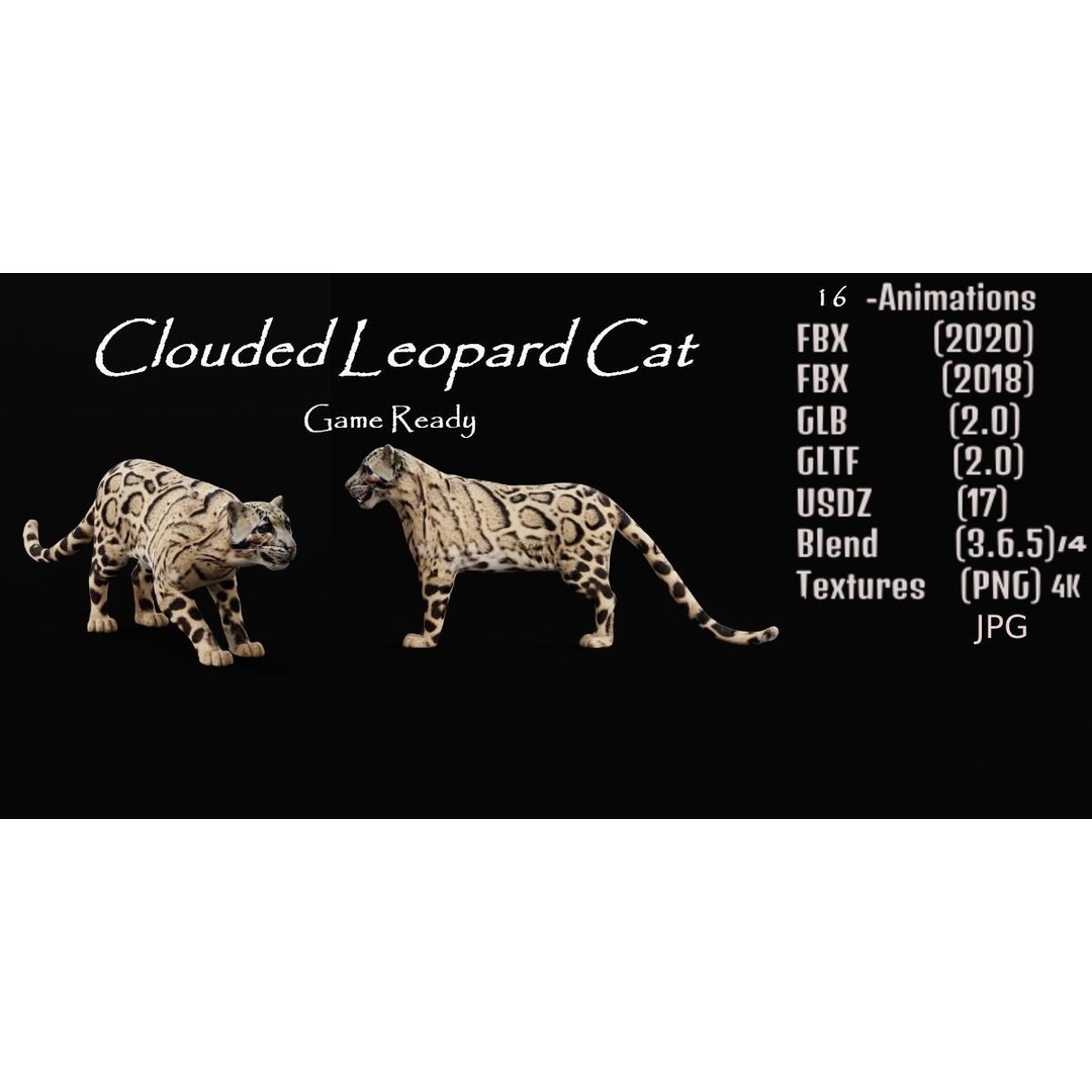 Clouded Leopard 3D Model – Mid Poly Game Ready Character, FBX - View 3