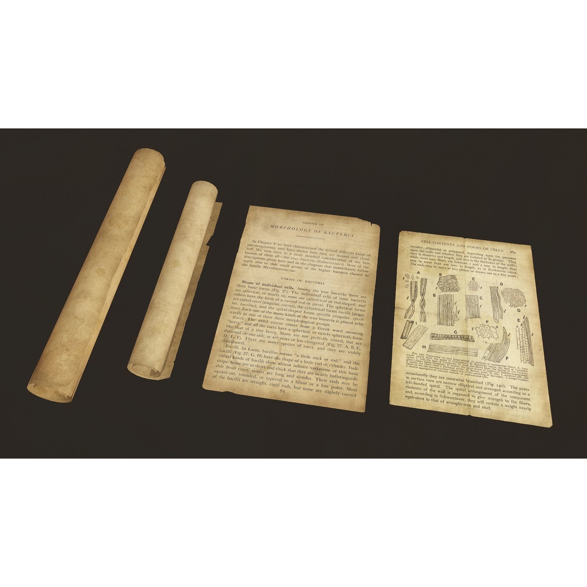 Victorian Props Set - Low-Poly Game-Ready 3D Model - View 5