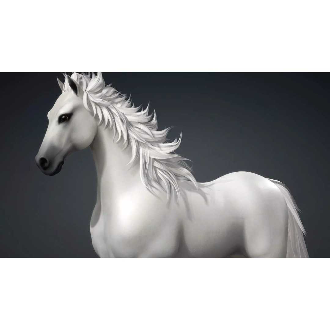 Horse 3D Model – Rigged Animated Creature for Unity, FBX, Blender - View 13