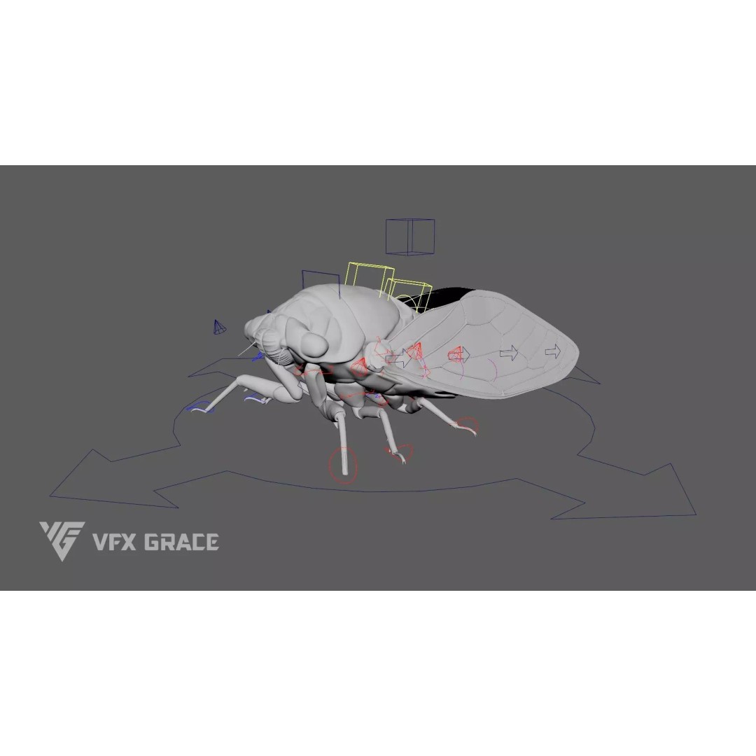 Cicada 3D Model – Rigged XGen Insect for Animation, Maya - View 15