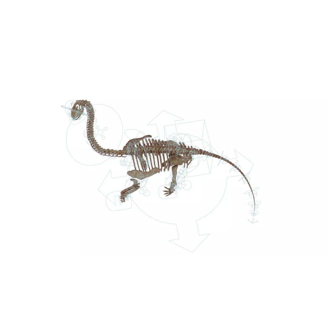 Brachiosaurus Skeleton 3D Model – Detailed Fossil Print Asset - View 6