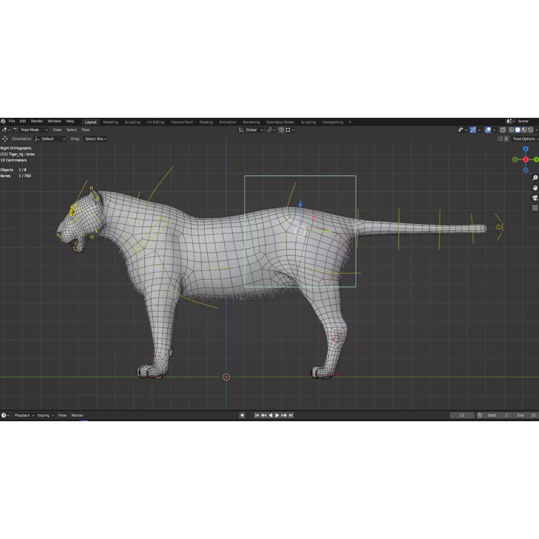 White Tiger 3D Model – High Poly Rigged Animation Asset, Blender - View 12