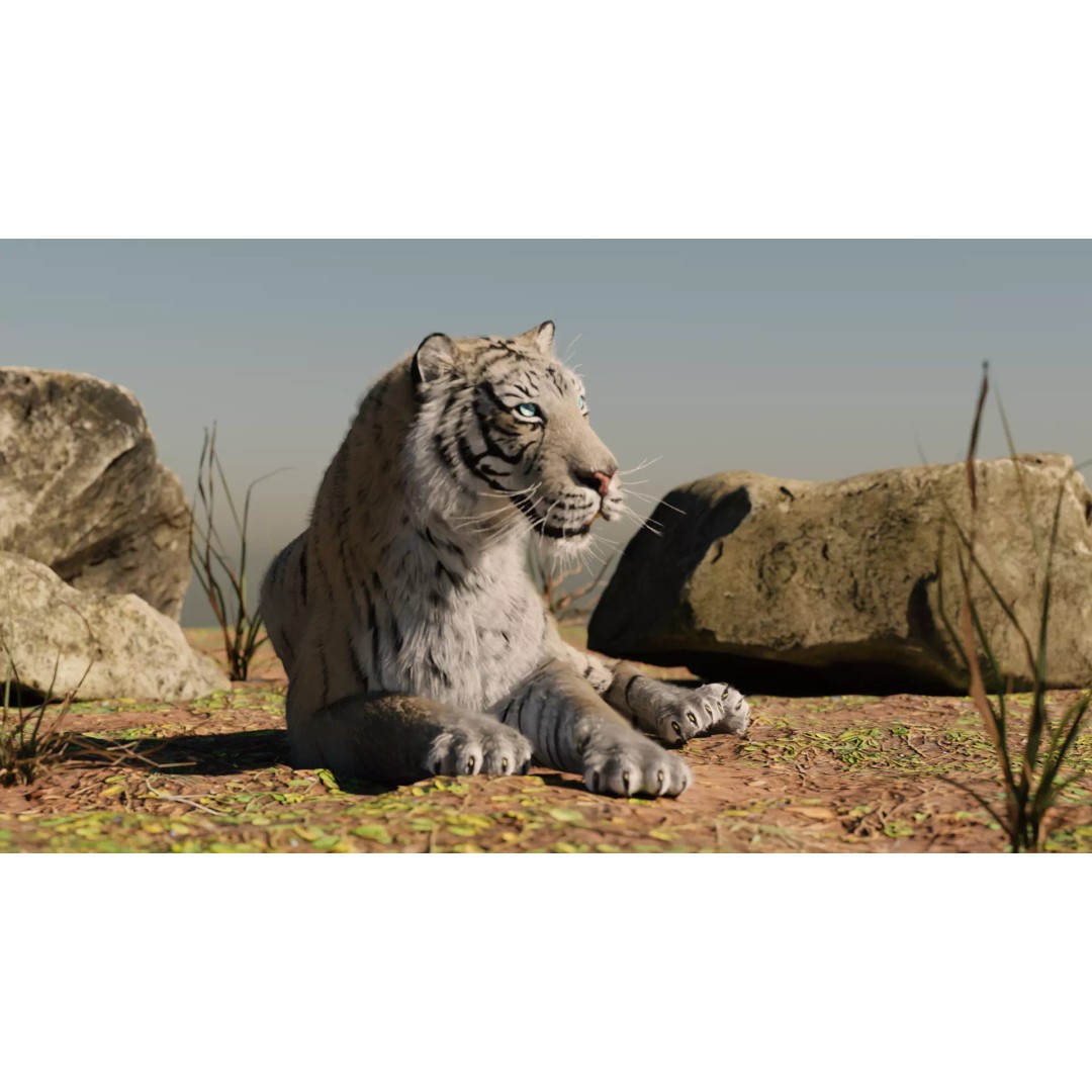 White Tiger 3D Model – High Poly Rigged Animation Asset, Blender - View 3
