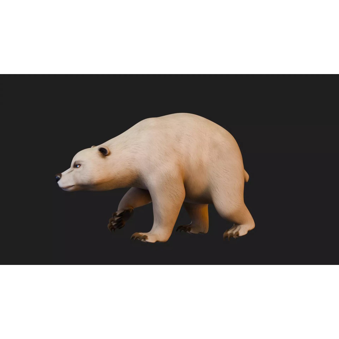 Stylized Quadruped Bear 3D Model – Rigged Low Poly Animal, FBX - View 12