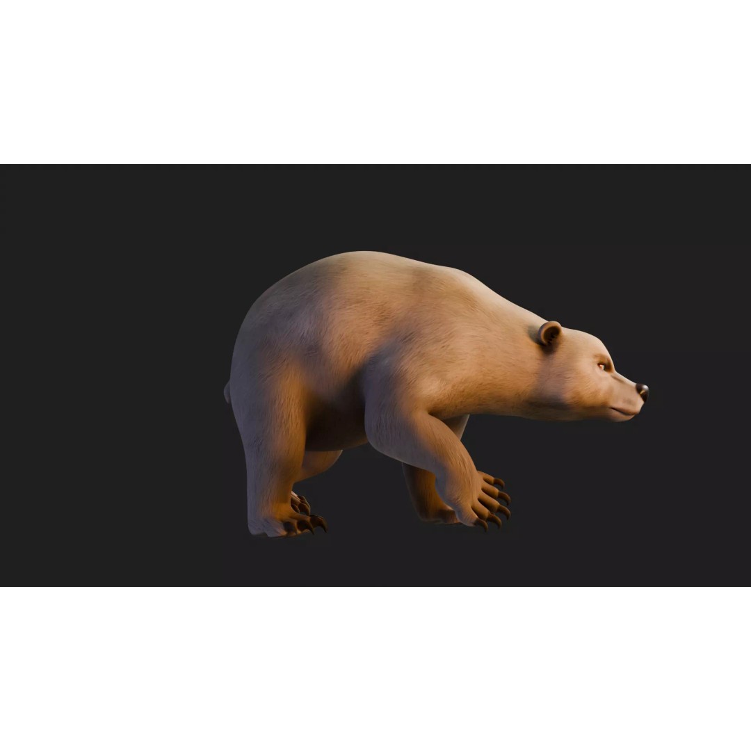 Stylized Quadruped Bear 3D Model – Rigged Low Poly Animal, FBX - View 19