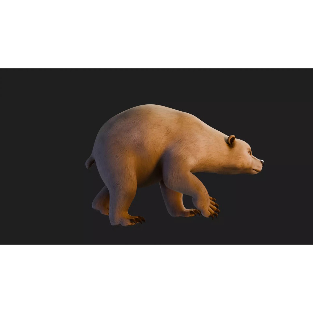 Stylized Quadruped Bear 3D Model – Rigged Low Poly Animal, FBX - View 20