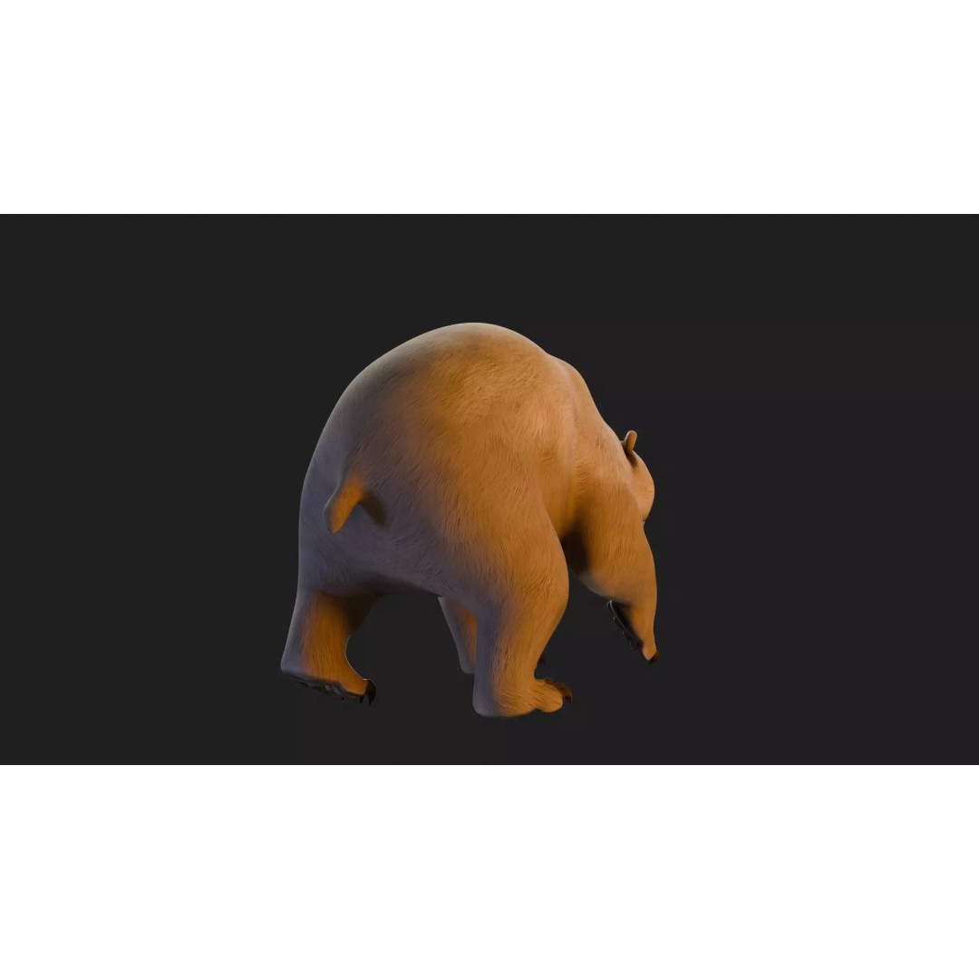 Stylized Quadruped Bear 3D Model – Rigged Low Poly Animal, FBX - View 23
