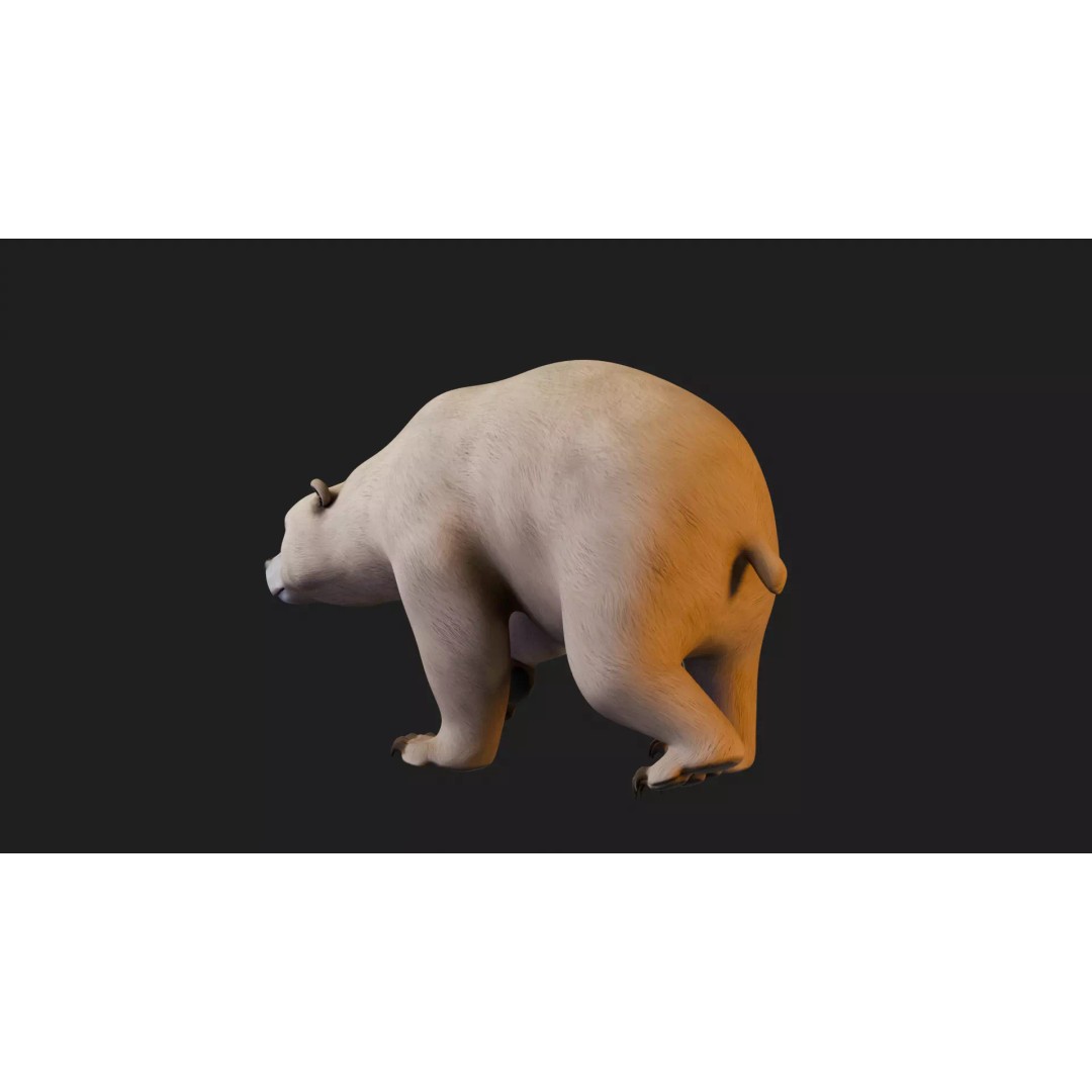 Stylized Quadruped Bear 3D Model – Rigged Low Poly Animal, FBX - View 28