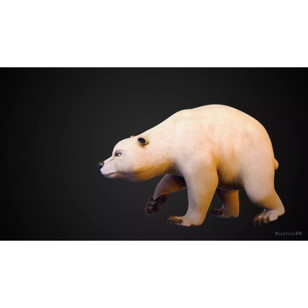 Stylized Quadruped Bear 3D Model – Rigged Low Poly Animal, FBX - View 3