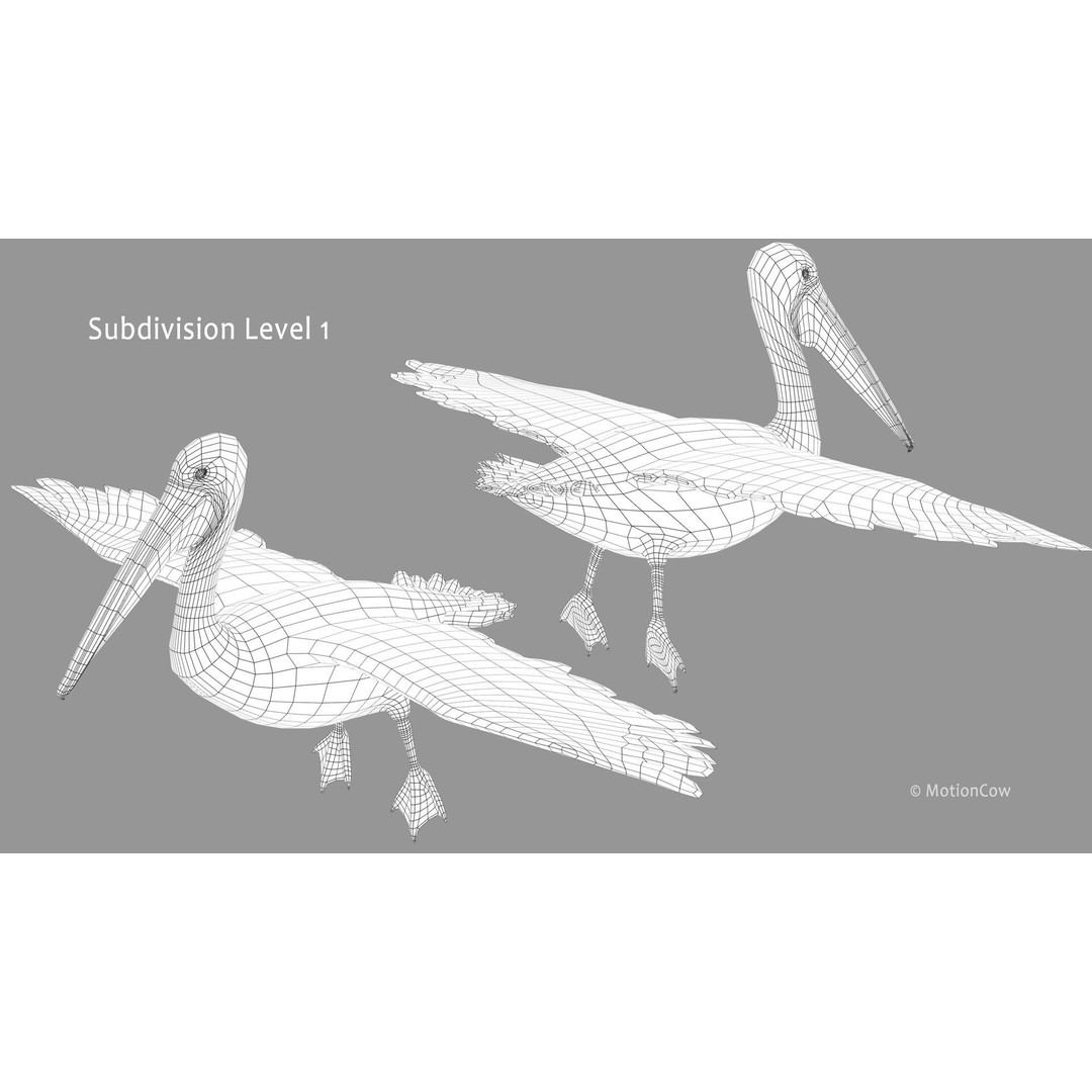 Realistic Pelican 3D Model – Rigged Animated Game Asset, FBX - View 17