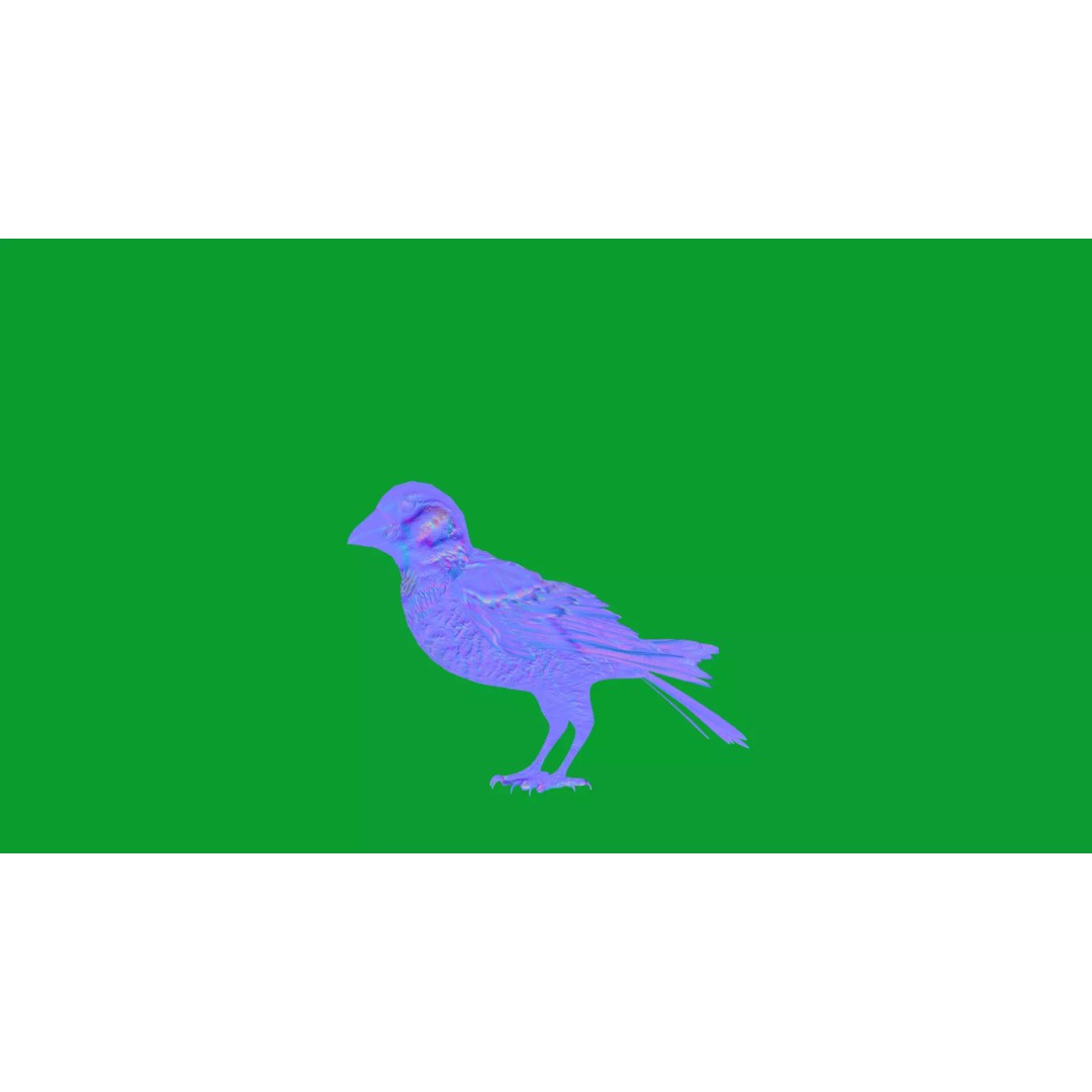 Asian House Sparrow 3D Model – Low Poly Animated Game Asset, FBX - View 12