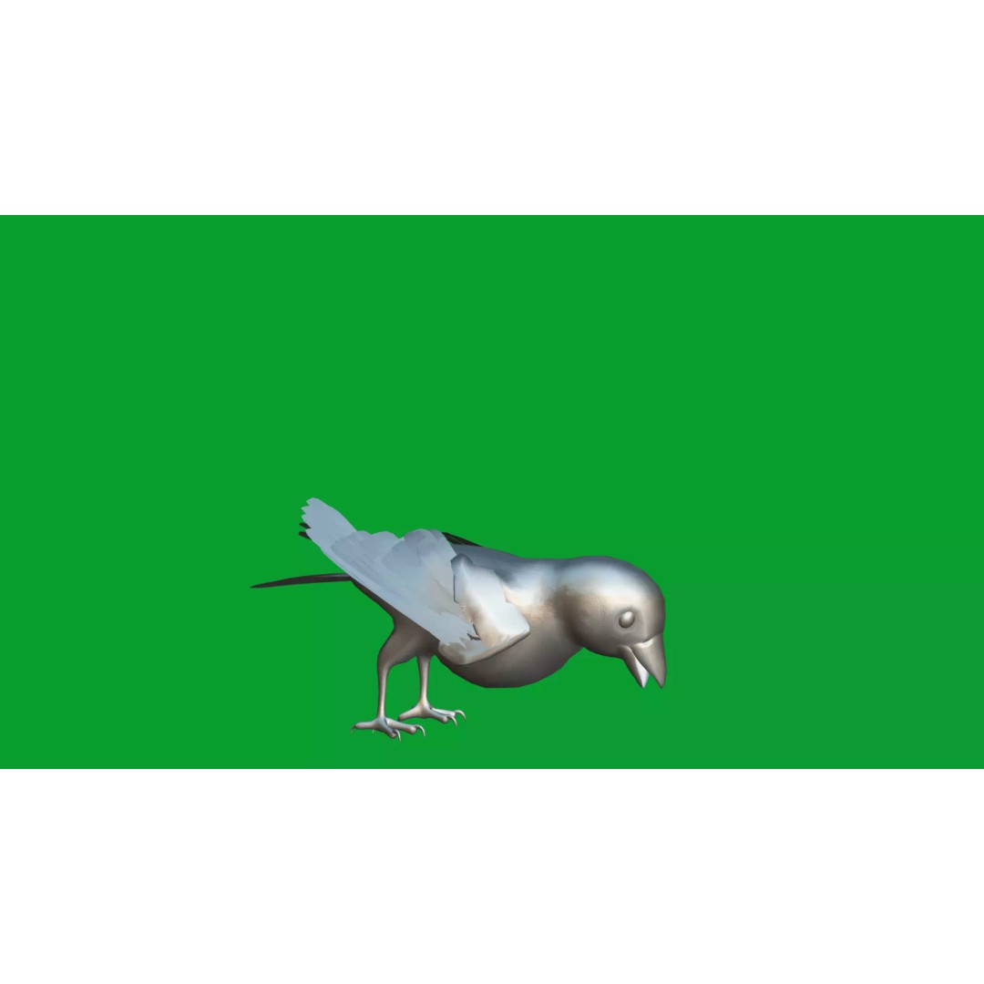 Asian House Sparrow 3D Model – Low Poly Animated Game Asset, FBX - View 17