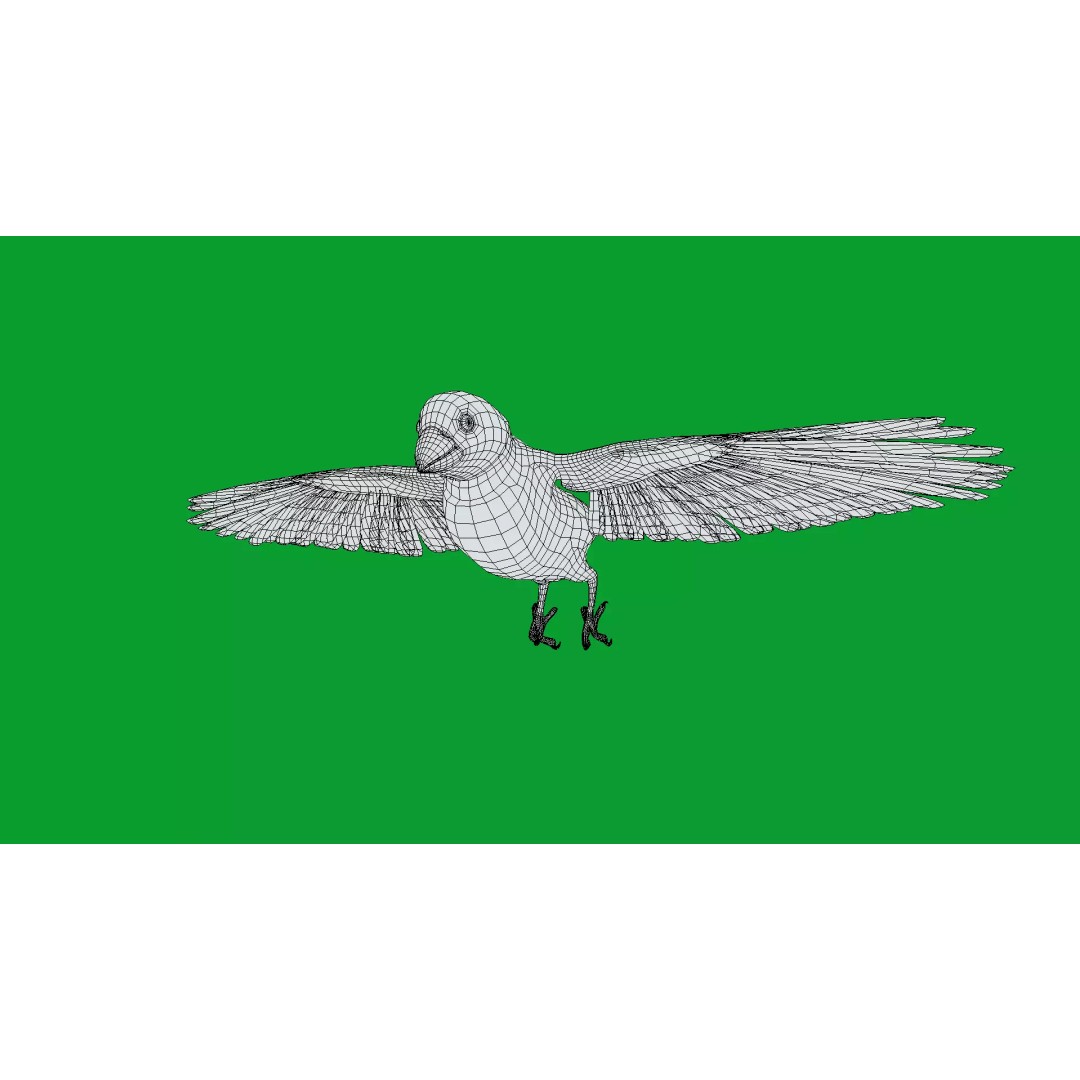 Asian House Sparrow 3D Model – Low Poly Animated Game Asset, FBX - View 21