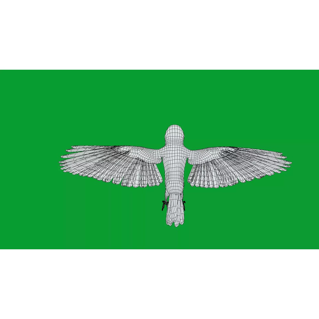 Asian House Sparrow 3D Model – Low Poly Animated Game Asset, FBX - View 22