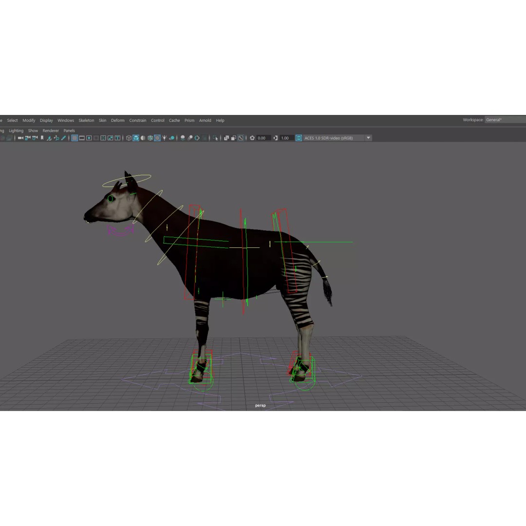 Okapi 3D Model – Rigged Low-Poly Game Asset, FBX - View 13