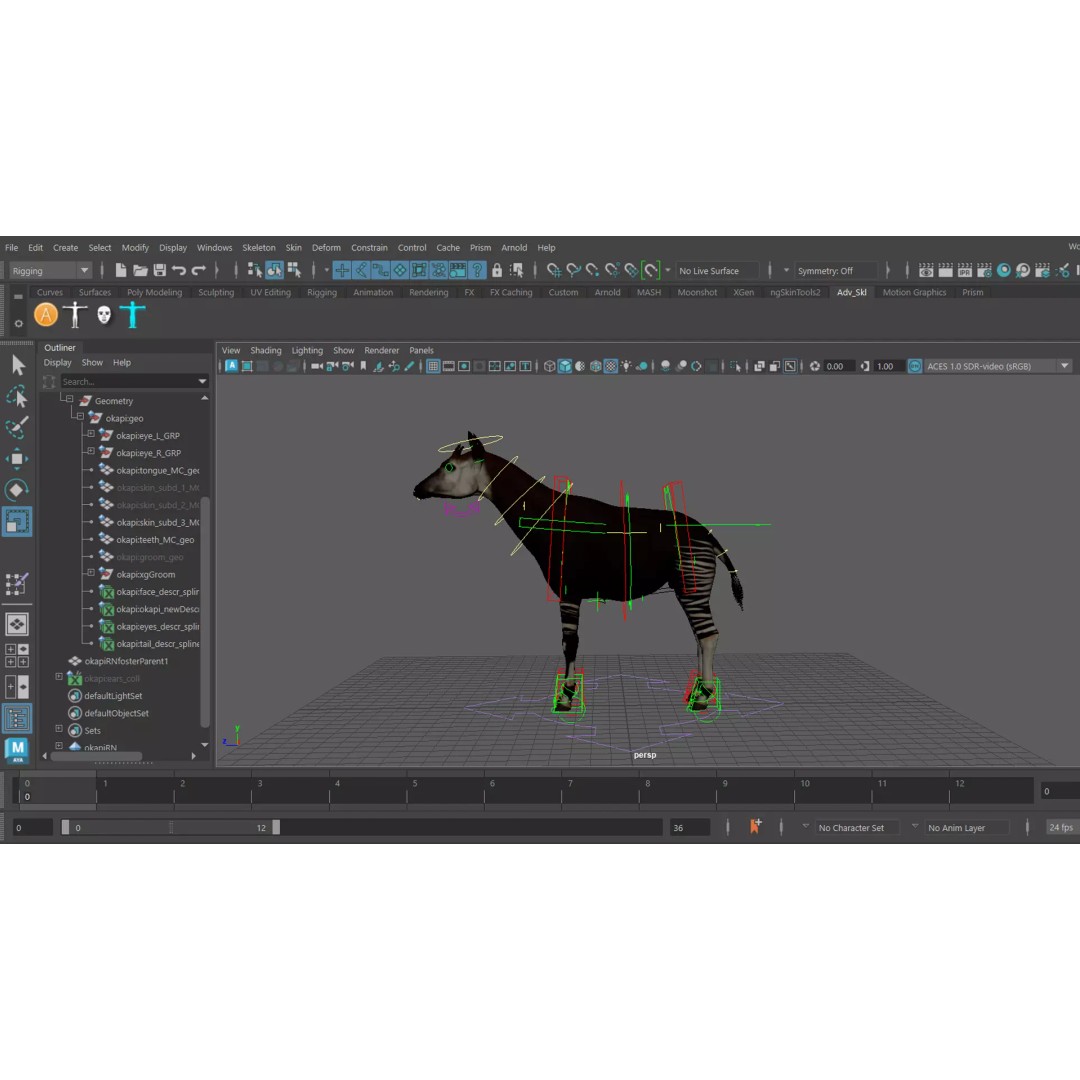 Okapi 3D Model – Rigged Low-Poly Game Asset, FBX - View 14