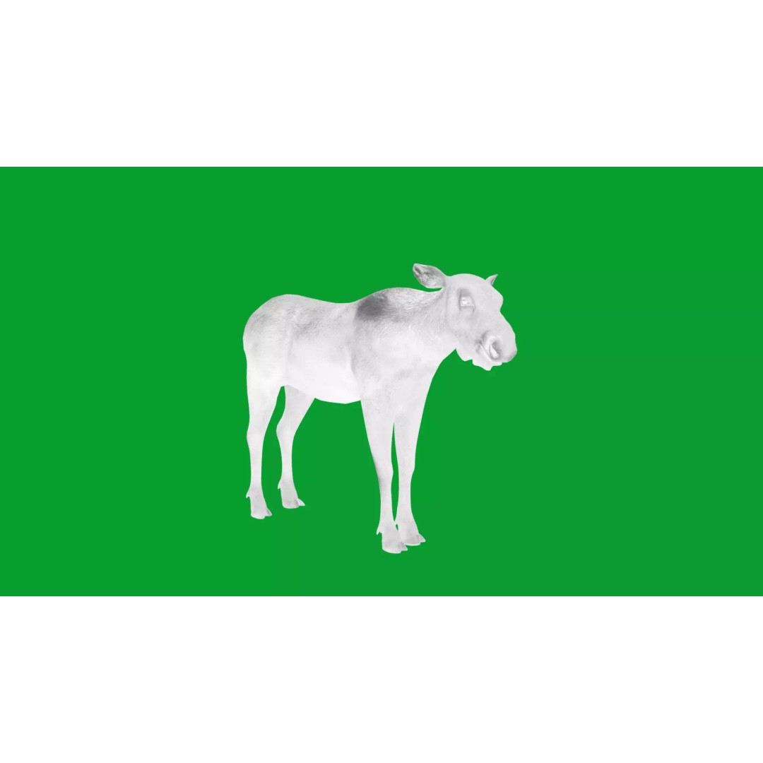 Eurasian Female Moose 3D Model – Low Poly Game Ready Asset, FBX - View 10