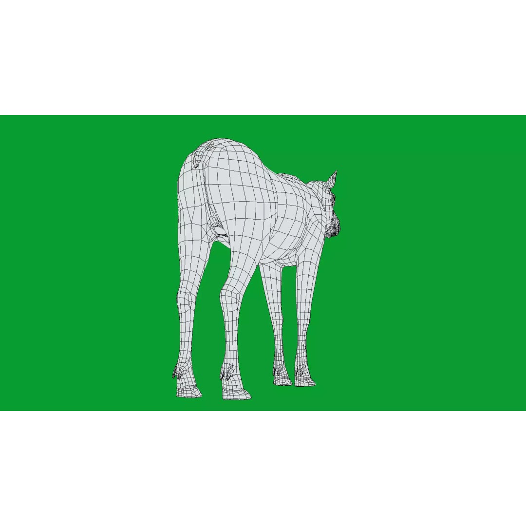 Eurasian Female Moose 3D Model – Low Poly Game Ready Asset, FBX - View 13