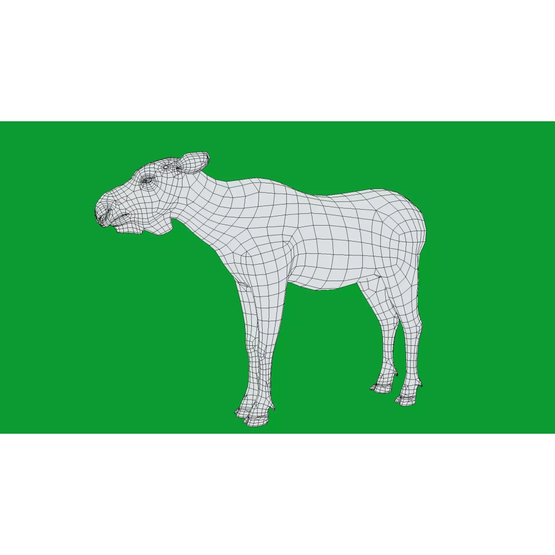 Eurasian Female Moose 3D Model – Low Poly Game Ready Asset, FBX - View 17
