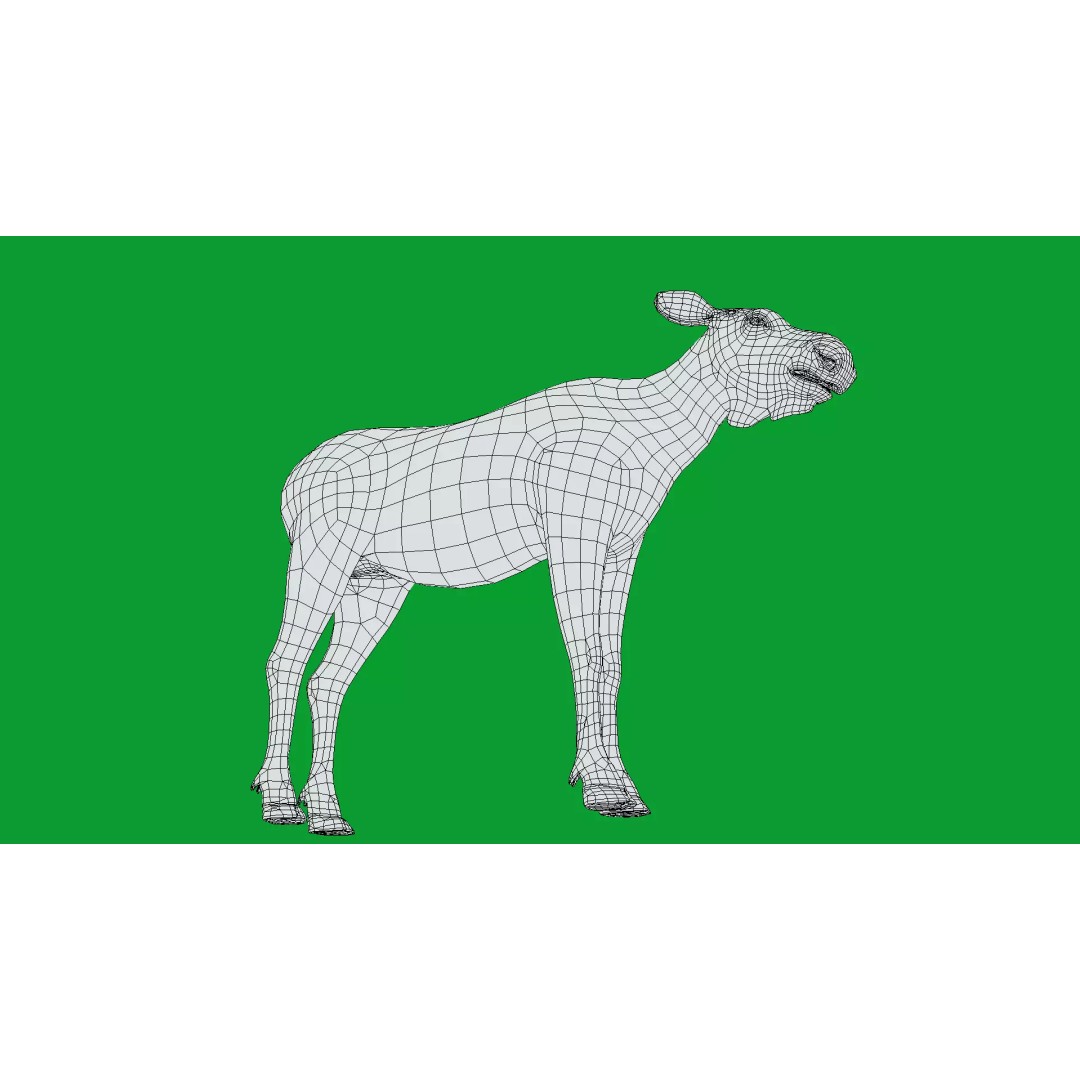 Eurasian Female Moose 3D Model – Low Poly Game Ready Asset, FBX - View 21