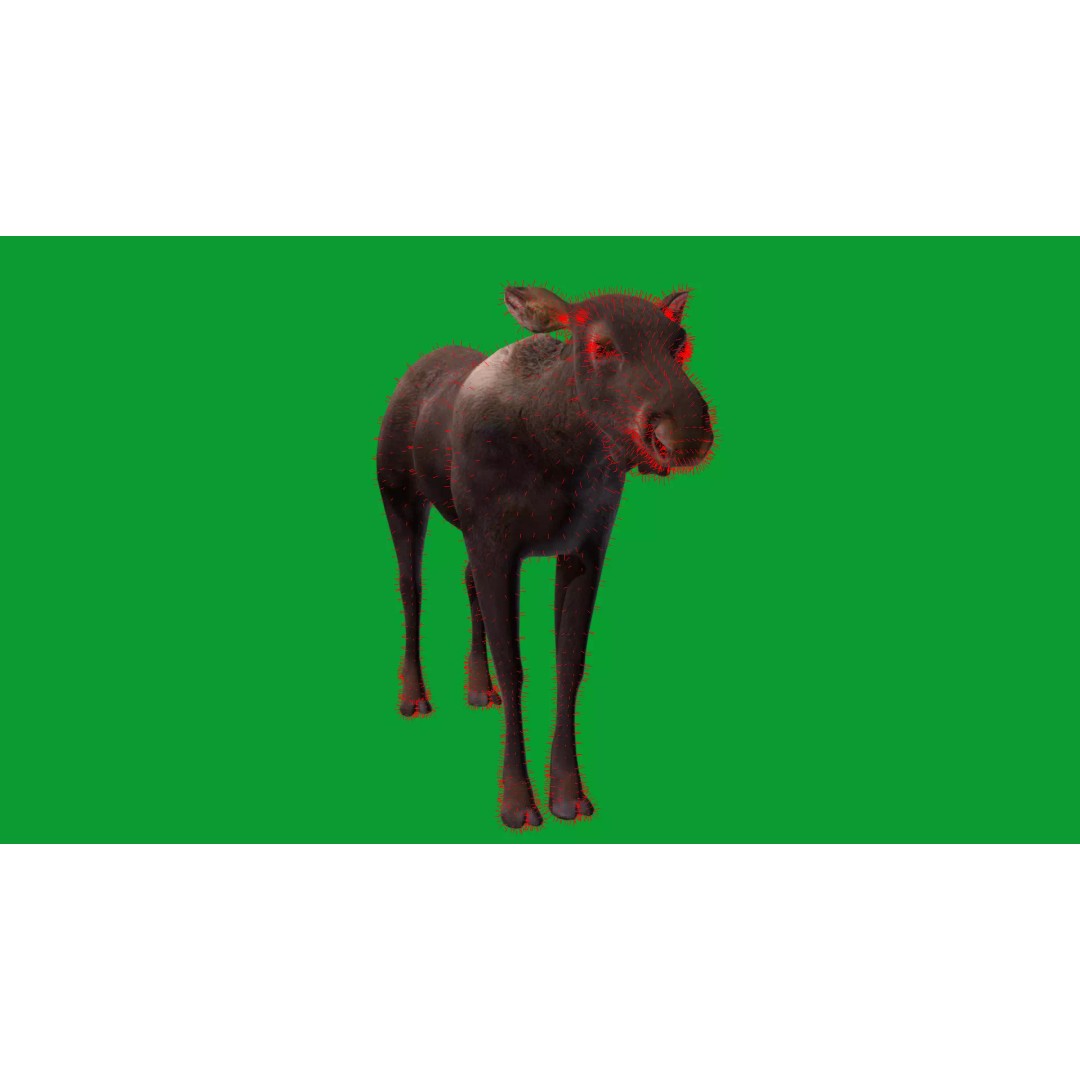 Eurasian Female Moose 3D Model – Low Poly Game Ready Asset, FBX - View 26