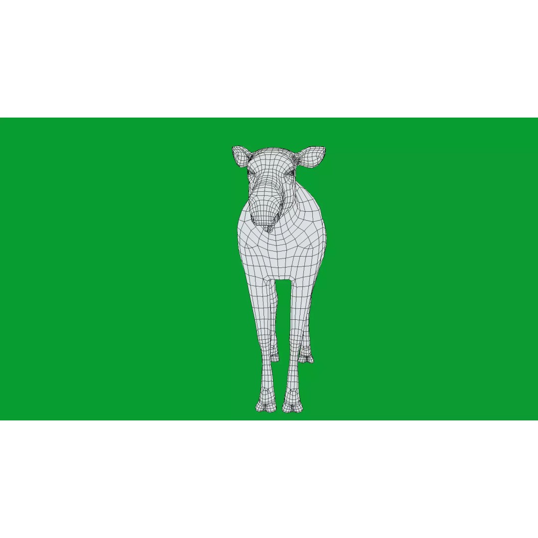 Eurasian Female Moose 3D Model – Low Poly Game Ready Asset, FBX - View 29
