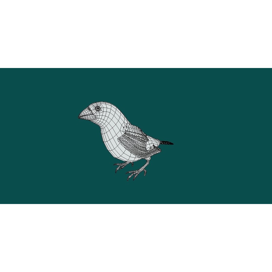 Finches Birds 3D Model – Low Poly Animated PBR Asset, FBX, Unity - View 13