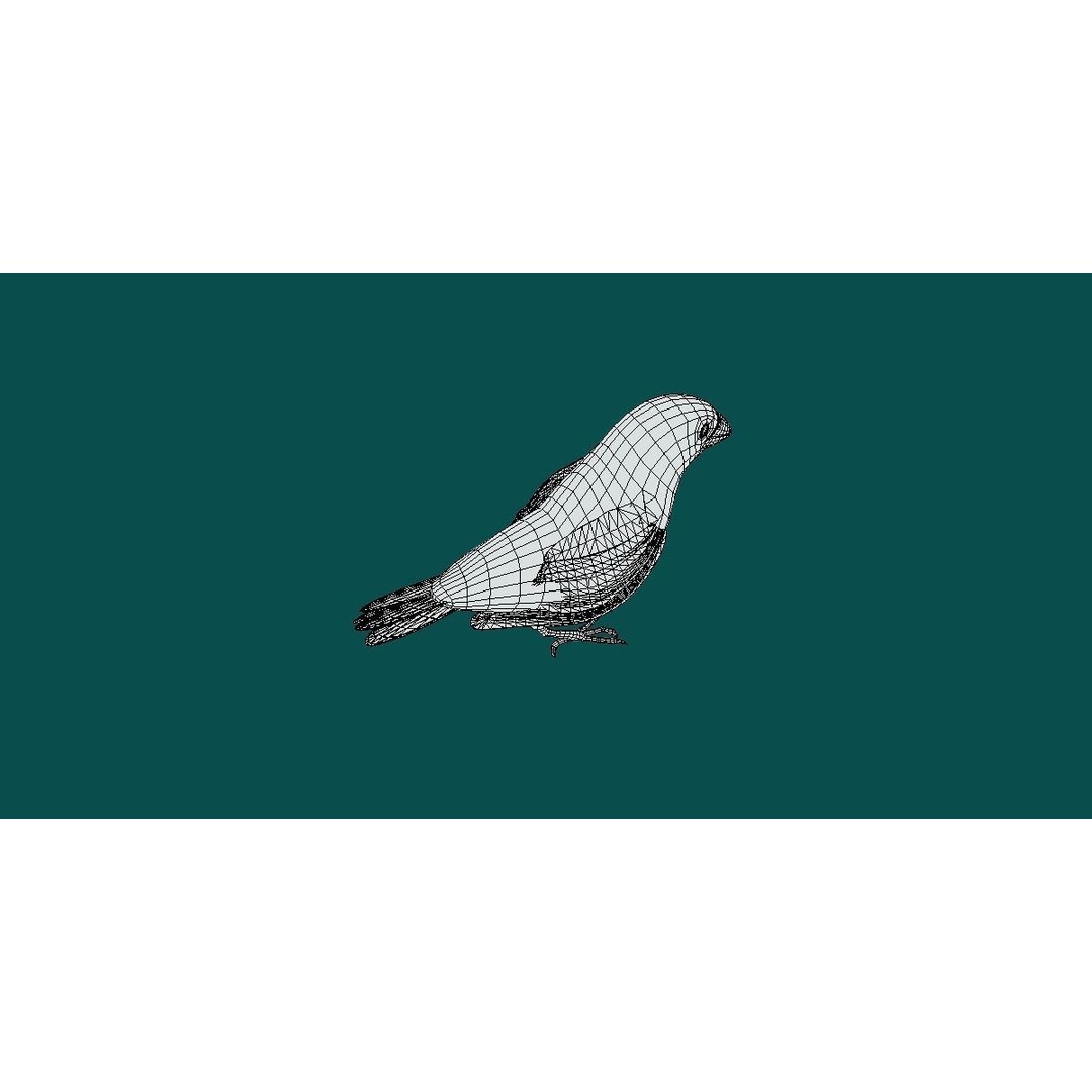 Finches Birds 3D Model – Low Poly Animated PBR Asset, FBX, Unity - View 14