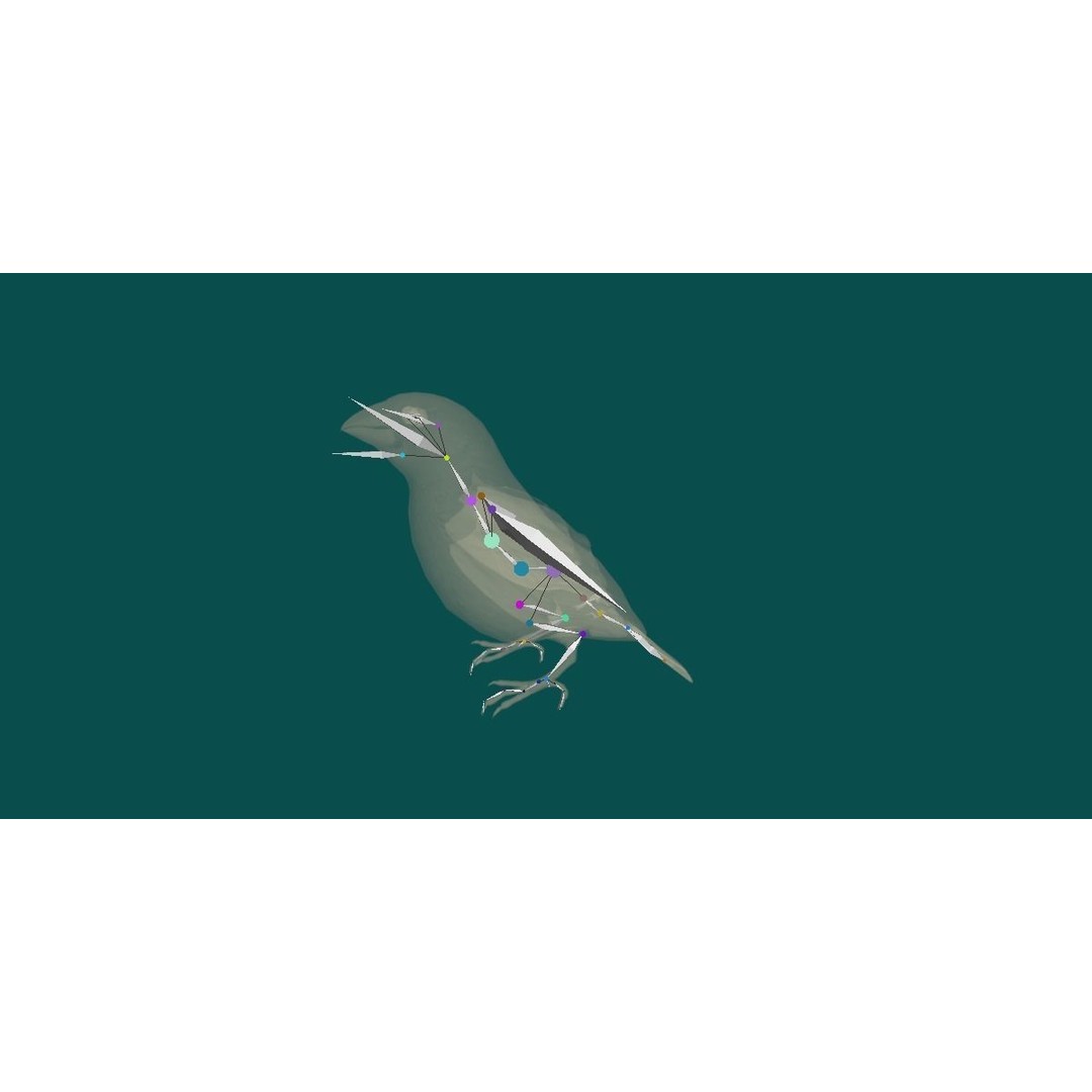 Finches Birds 3D Model – Low Poly Animated PBR Asset, FBX, Unity - View 18