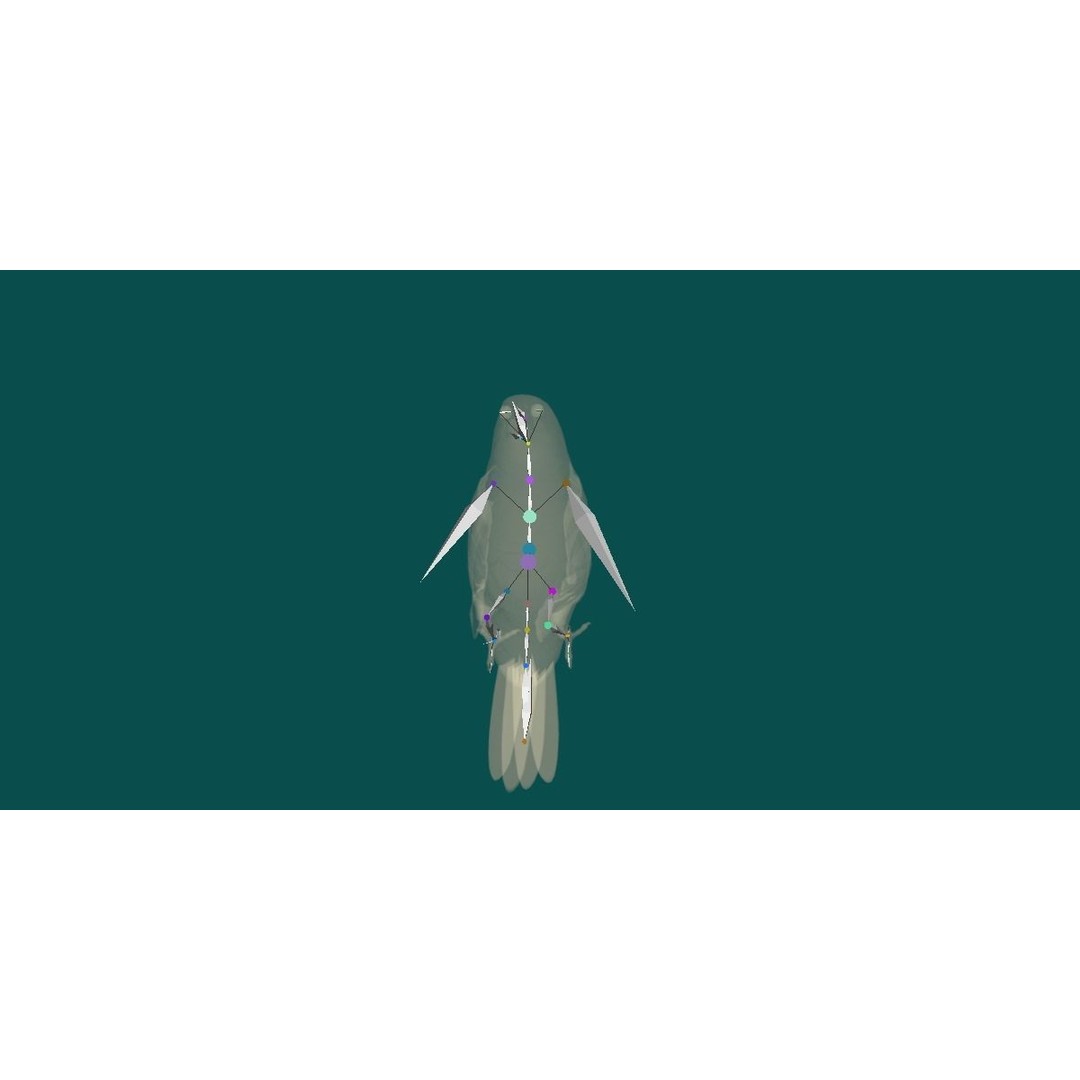Finches Birds 3D Model – Low Poly Animated PBR Asset, FBX, Unity - View 19