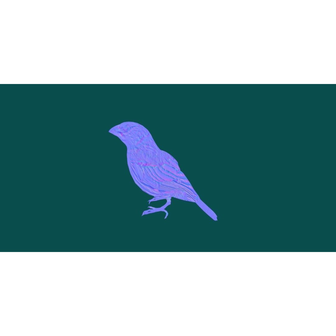 Finches Birds 3D Model – Low Poly Animated PBR Asset, FBX, Unity - View 22