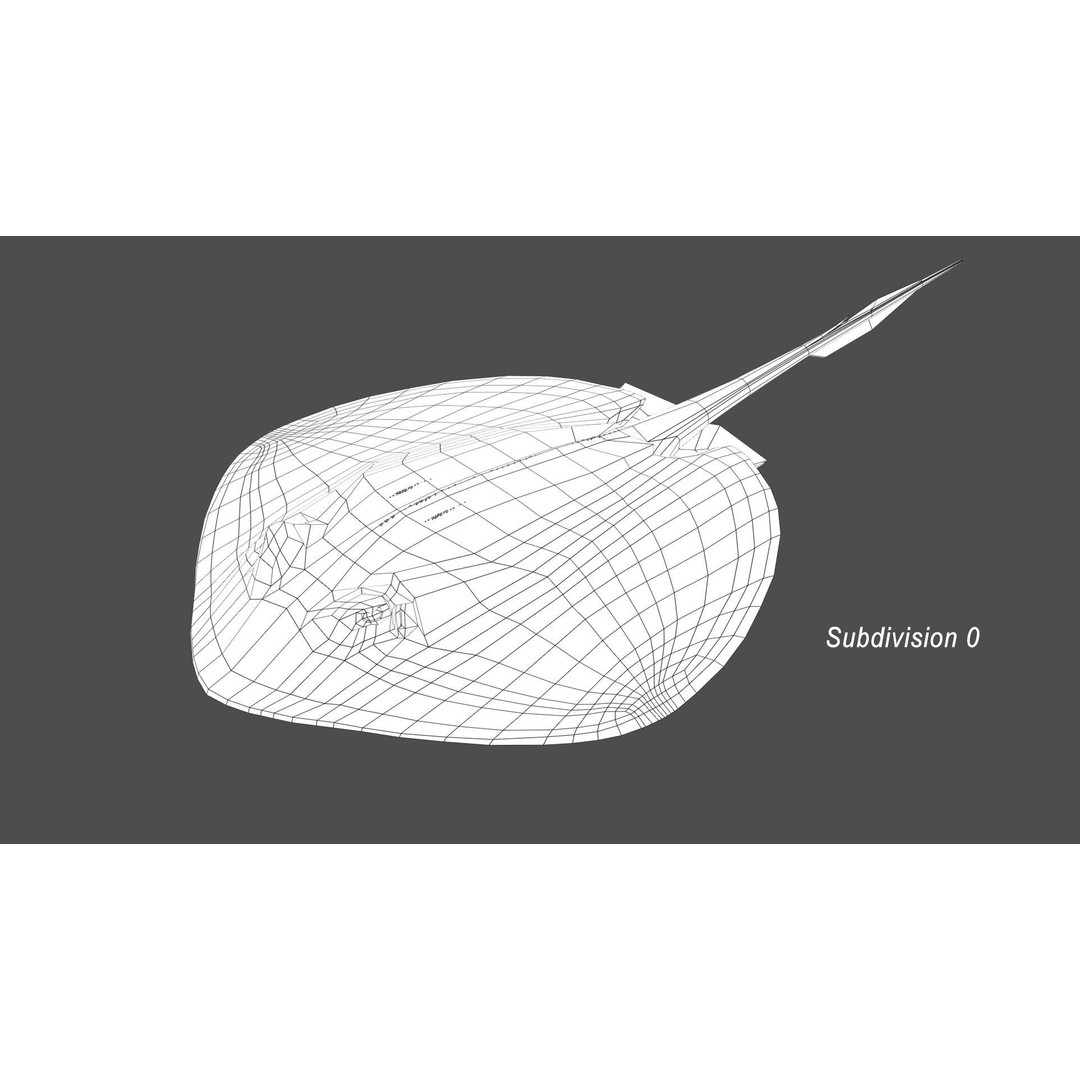 Blue-spotted Stingray 3D Model – Rigged & Animated, FBX - View 20