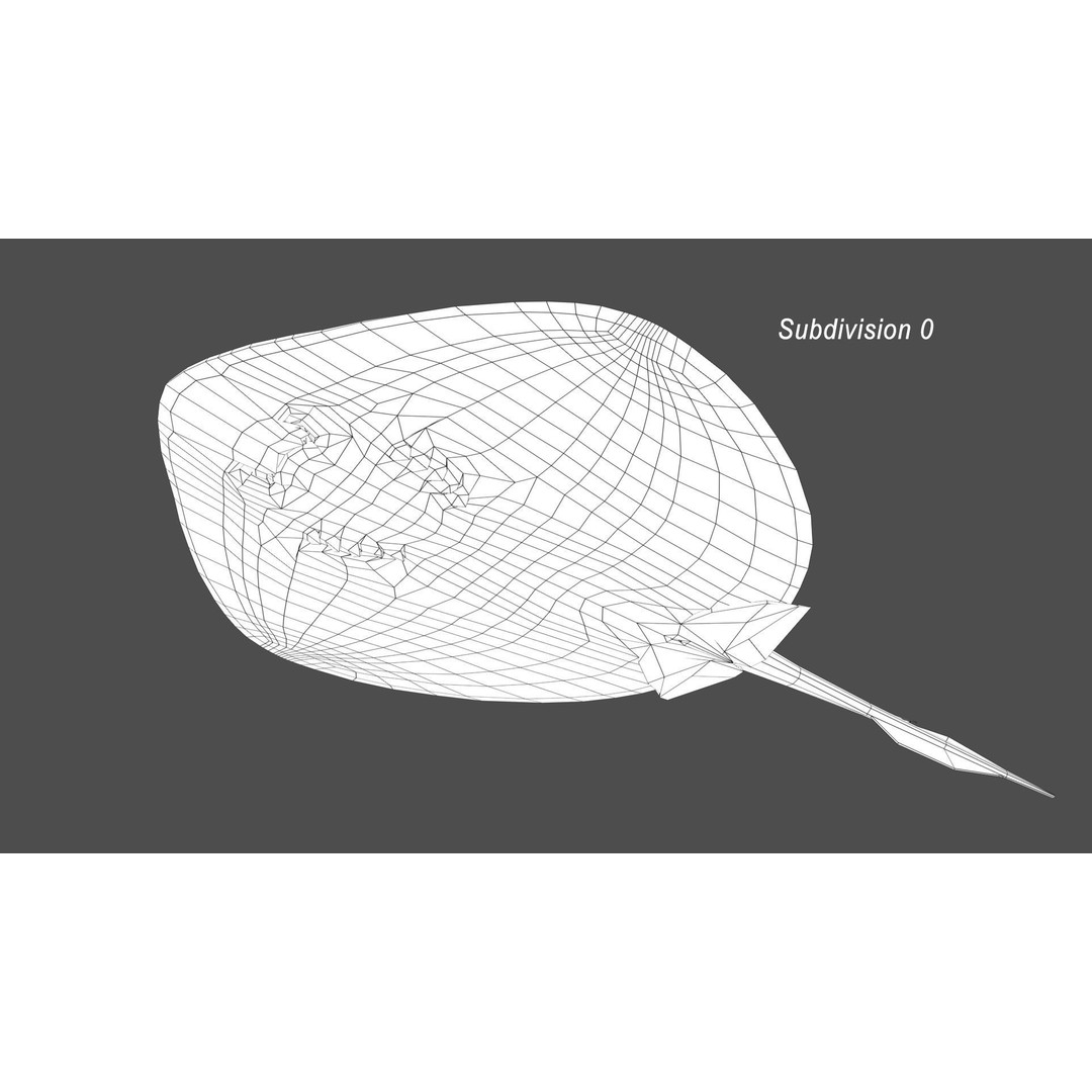 Blue-spotted Stingray 3D Model – Rigged & Animated, FBX - View 22