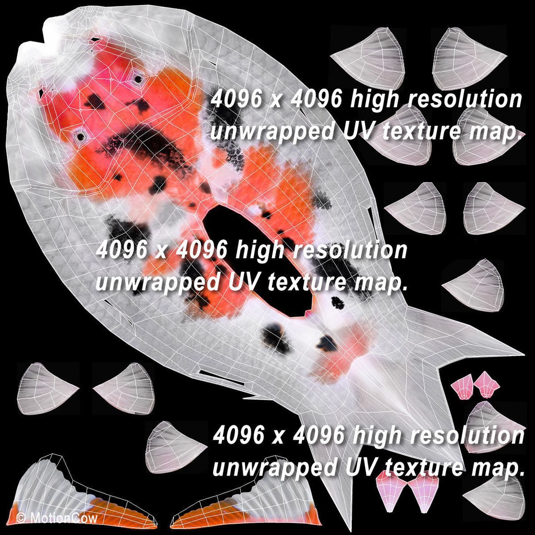 Koi Fish 3D Model – Realistic Rigged Animation Ready FBX