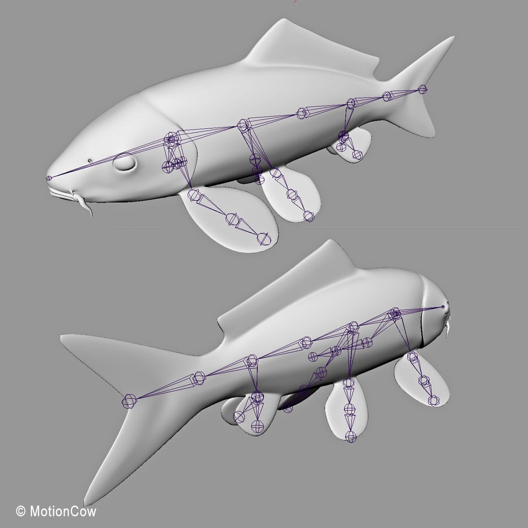 Koi Fish 3D Model – Realistic Rigged Animation Ready FBX - View 15