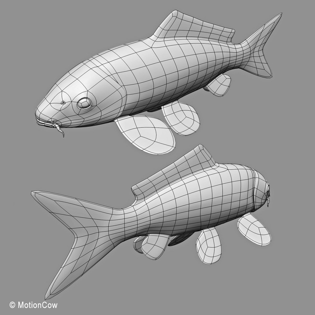Koi Fish 3D Model – Realistic Rigged Animation Ready FBX - View 16
