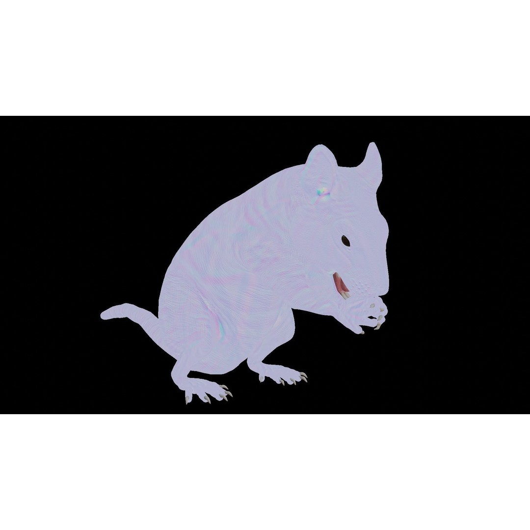 Realistic Rat 3D Model – Rigged PBR Character for VFX, FBX - View 10