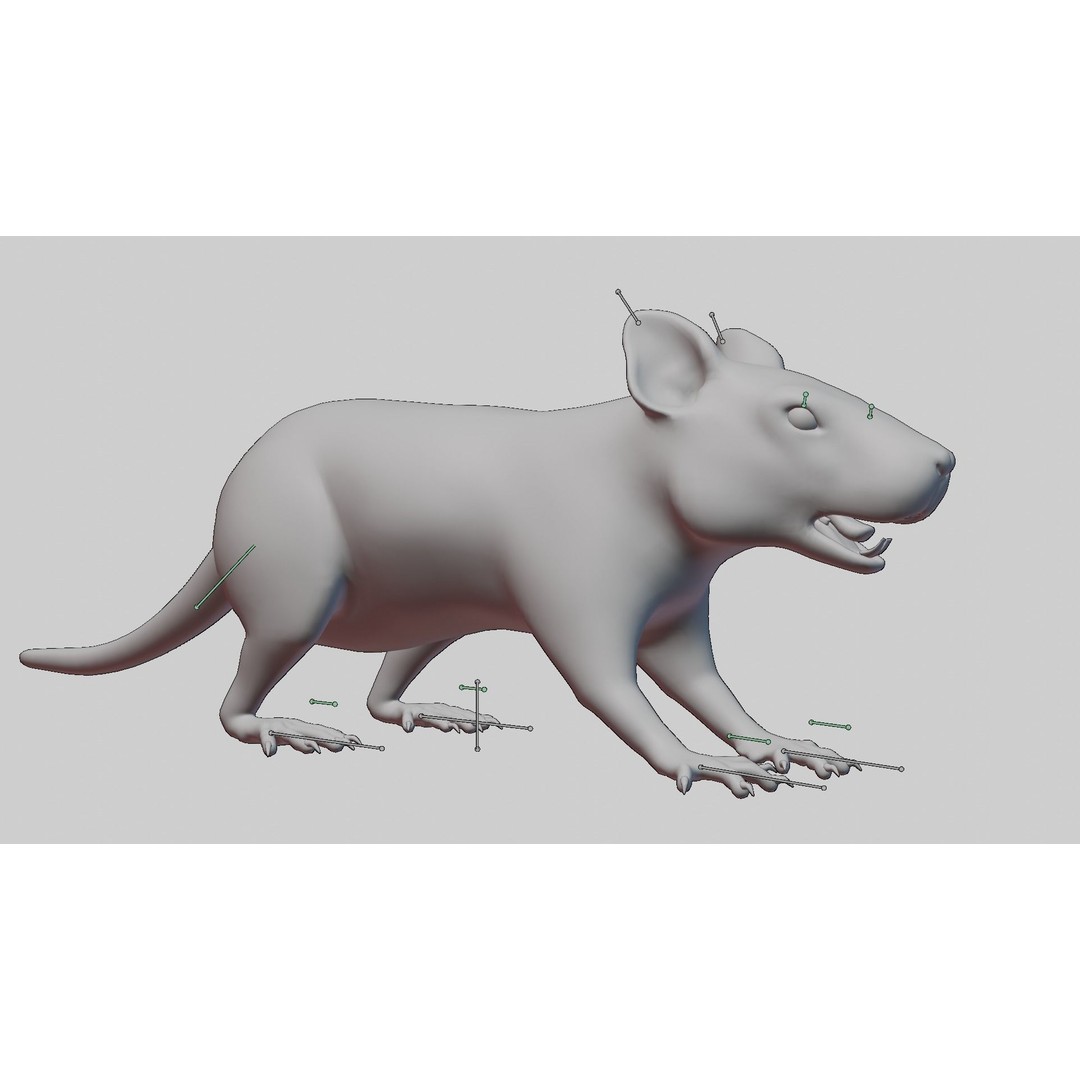 Realistic Rat 3D Model – Rigged PBR Character for VFX, FBX - View 12
