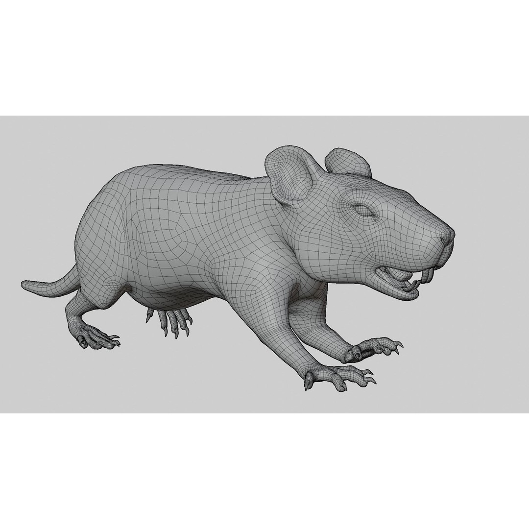 Realistic Rat 3D Model – Rigged PBR Character for VFX, FBX - View 13