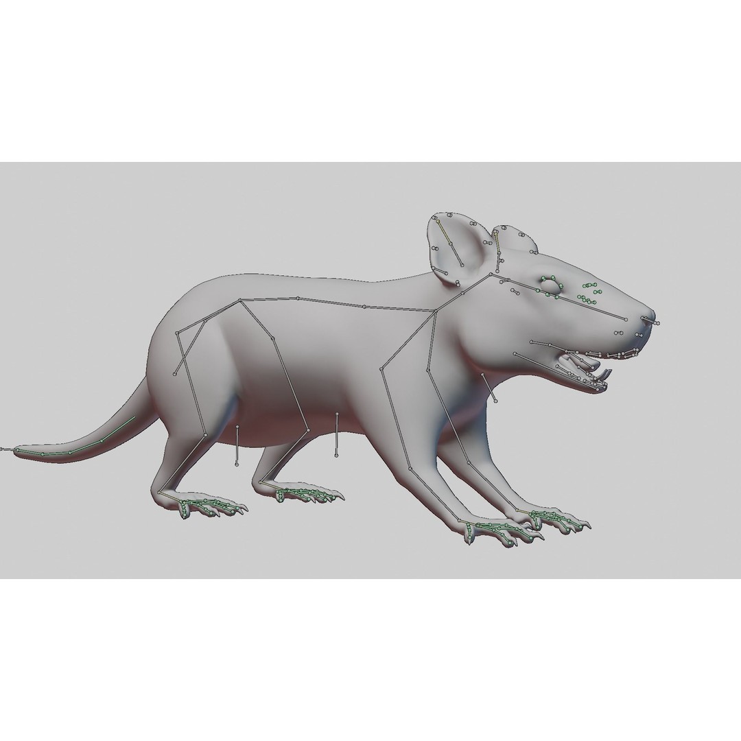 Realistic Rat 3D Model – Rigged PBR Character for VFX, FBX - View 14