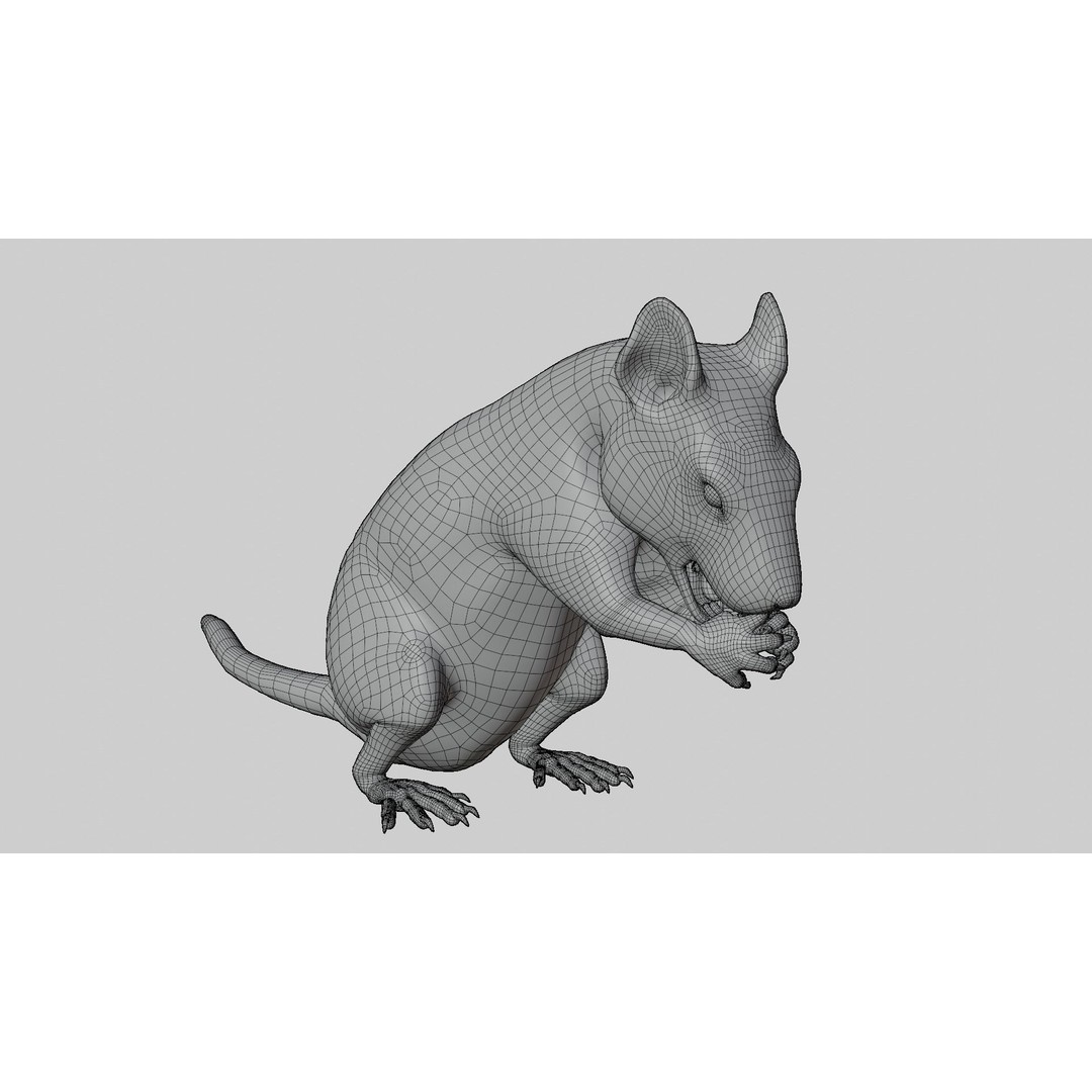 Realistic Rat 3D Model – Rigged PBR Character for VFX, FBX - View 15