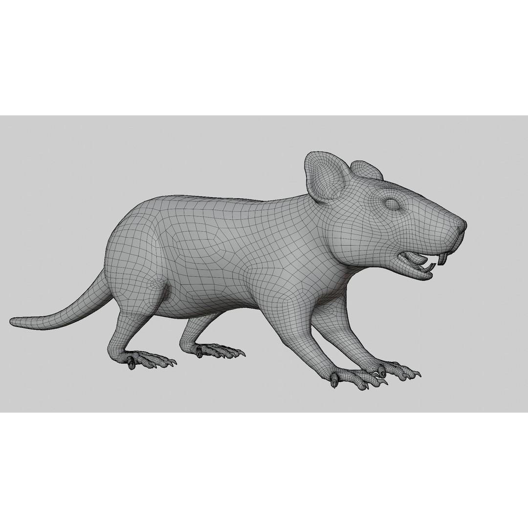 Realistic Rat 3D Model – Rigged PBR Character for VFX, FBX - View 17
