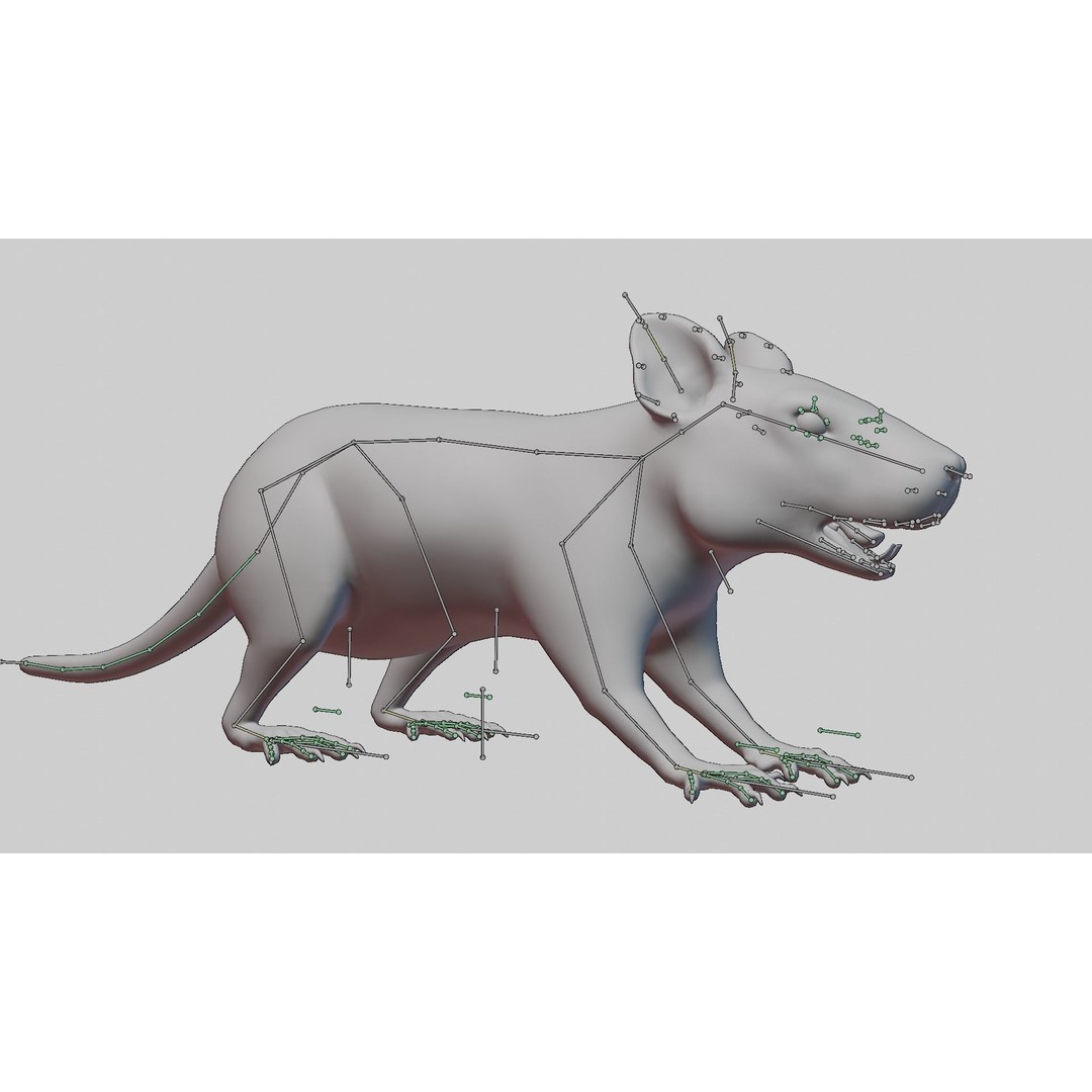 Realistic Rat 3D Model – Rigged PBR Character for VFX, FBX - View 9