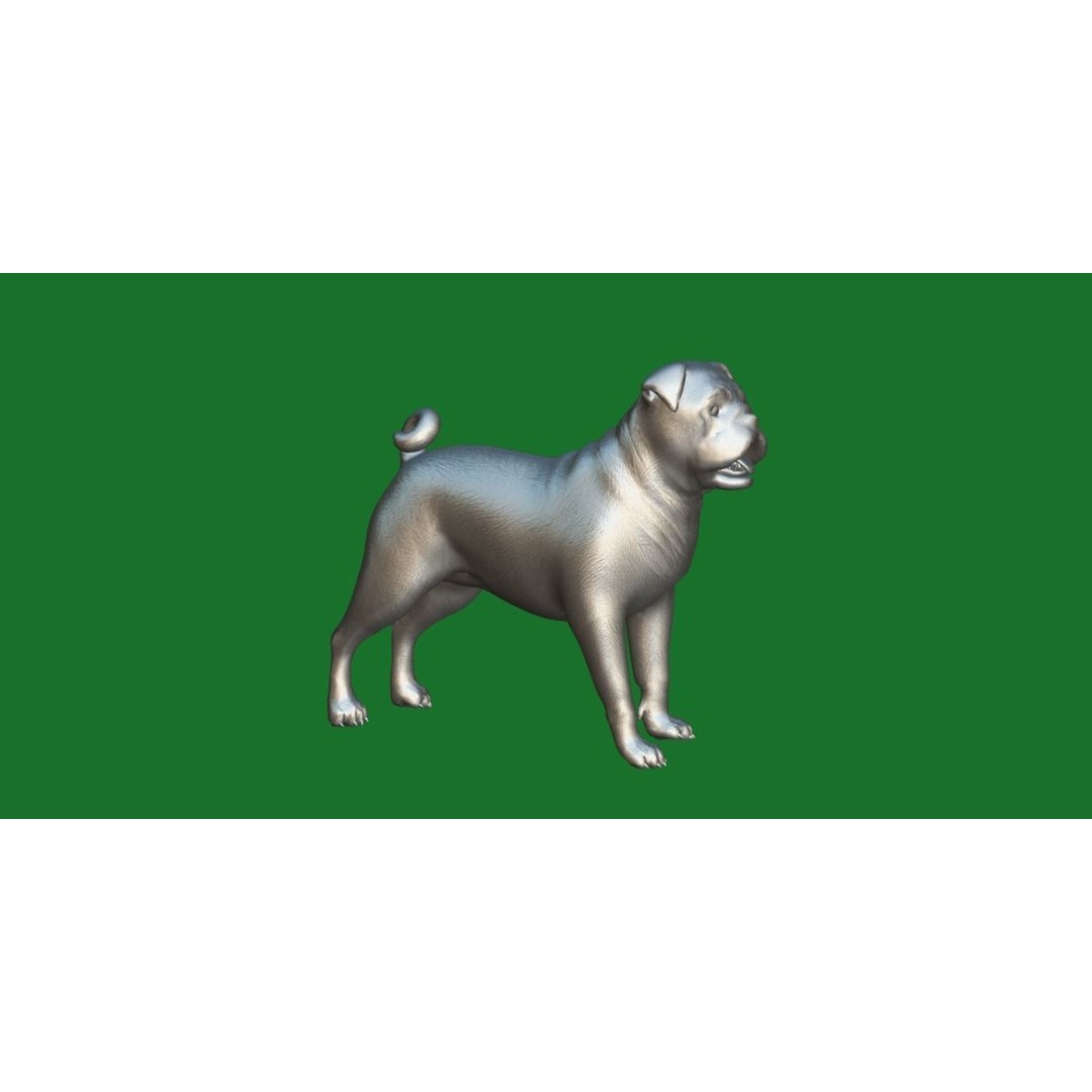 Pug Dog 3D Model – Low Poly Game Ready Character with Animations - View 13