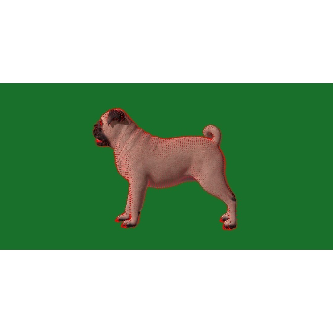 Pug Dog 3D Model – Low Poly Game Ready Character with Animations - View 16