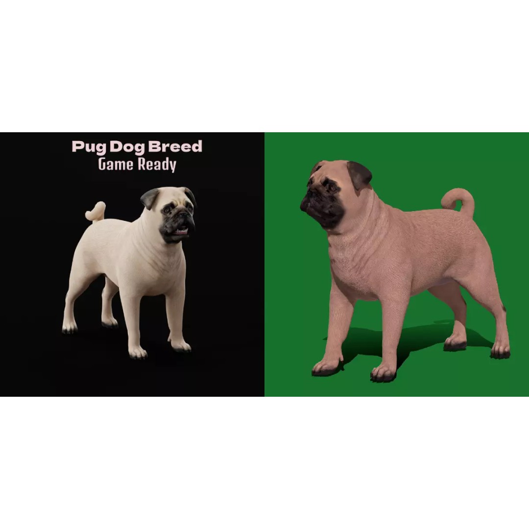 Pug Dog 3D Model – Low Poly Game Ready Character with Animations - View 2